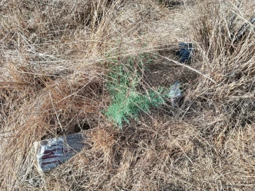 Terreno para Venda em Gafanha da Encarnação