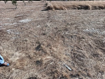 Terreno para Venda em Gafanha da Encarnação