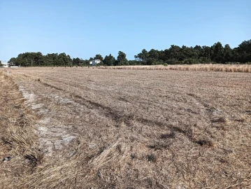 Terreno para Venda em Gafanha da Encarnação