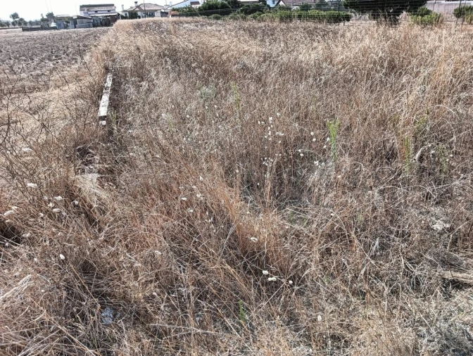 Terreno para Venda em Gafanha da Encarnação Foto 12