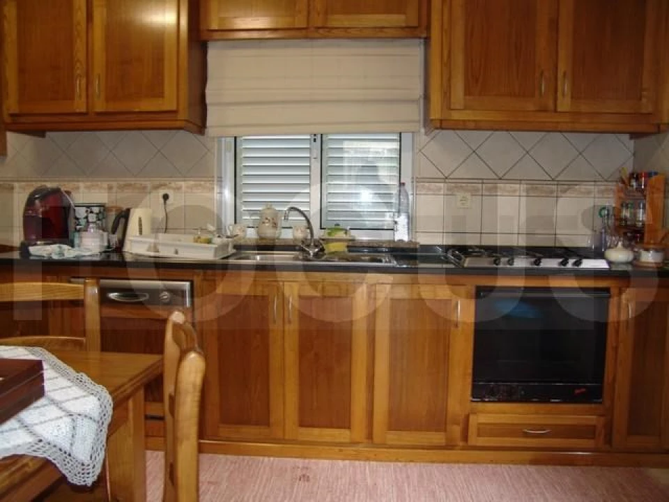 Quinta T5 para Venda em Sever do Vouga Foto 10