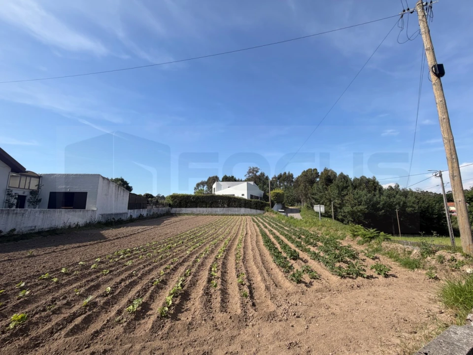 Terreno para Venda em Esgueira Foto 2