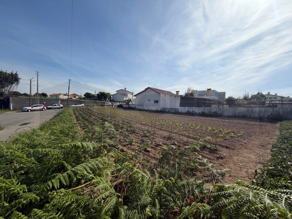 Terreno para Venda em Esgueira Foto 4