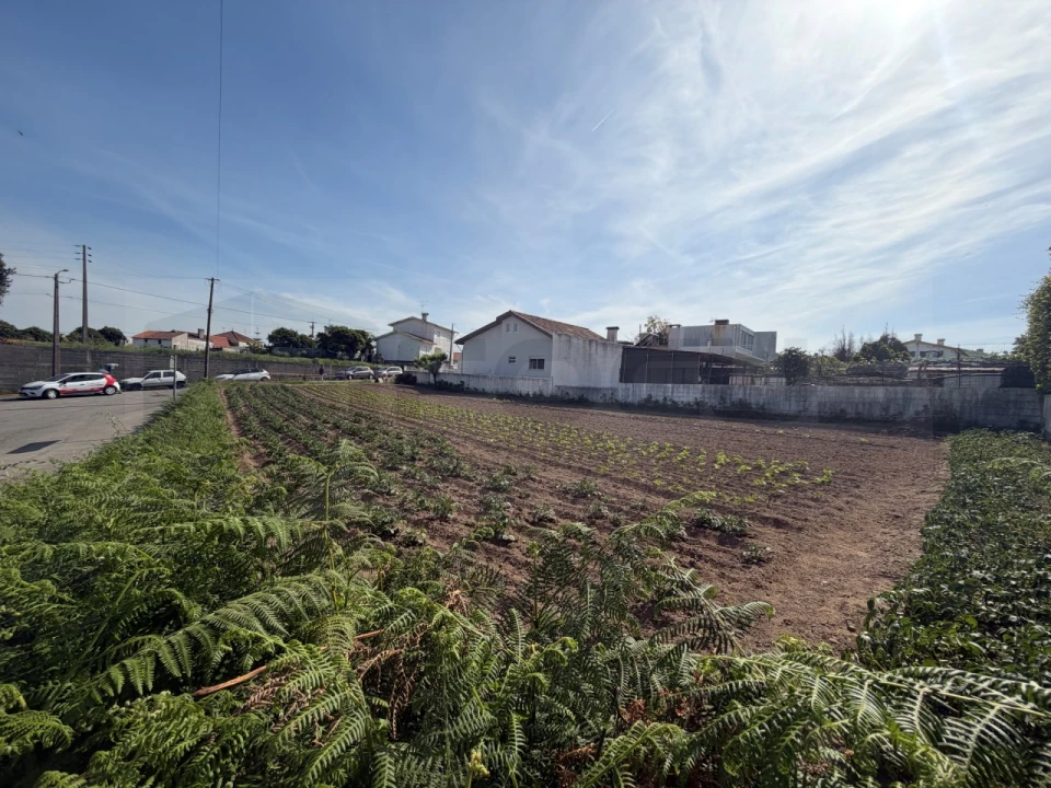 Terreno para Venda em Esgueira Foto 7