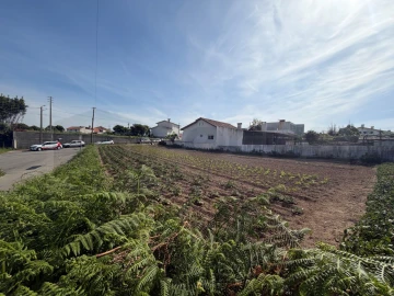 Terreno para Venda em Esgueira