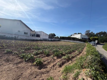 Terreno para Venda em Esgueira