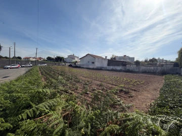 Terreno para Venda em Esgueira