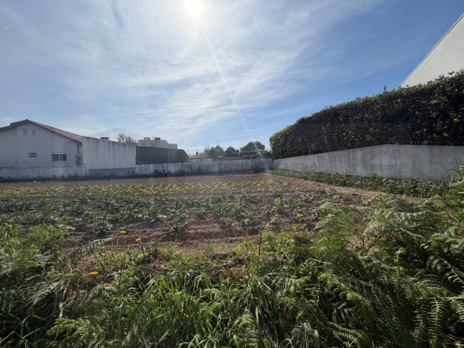 Terreno para Venda em Esgueira Foto 6