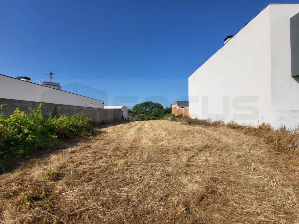 Terreno para Venda em Ílhavo (São Salvador) Foto 3