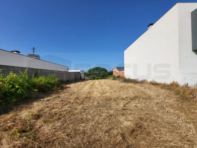 Terreno para Venda em Ílhavo (São Salvador) Foto 20