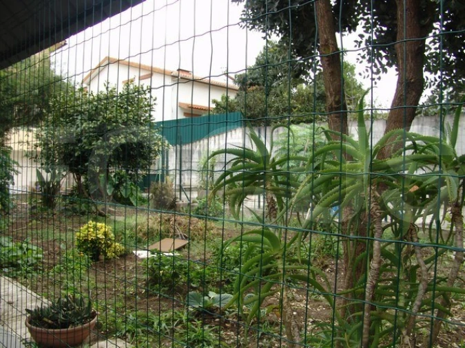Moradia T4 para Venda em São Bernardo Foto 6