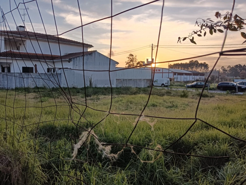 Terreno para Venda em Soza Foto 20