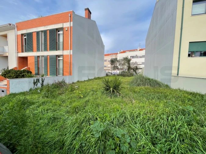 Terreno para Venda em Glória e Vera Cruz Foto 3