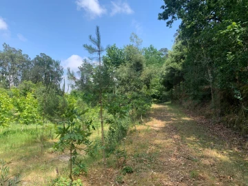 Terreno Agricola ou Rústico para Venda em Eixo e Eirol