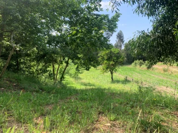 Terreno Agricola ou Rústico para Venda em Eixo e Eirol