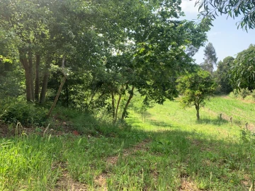 Terreno Agricola ou Rústico para Venda em Eixo e Eirol