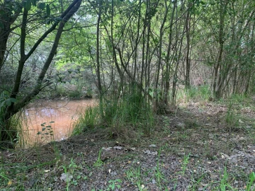 Terreno Agricola ou Rústico para Venda em Eixo e Eirol