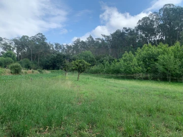 Terreno Agricola ou Rústico para Venda em Eixo e Eirol