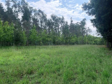 Terreno Agricola ou Rústico para Venda em Eixo e Eirol