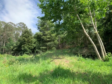 Terreno Agricola ou Rústico para Venda em Eixo e Eirol