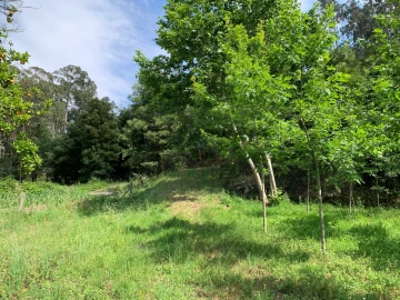 Terreno Agricola ou Rústico para Venda em Eixo e Eirol