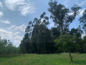 Terreno Agricola ou Rústico para Venda em Eixo e Eirol