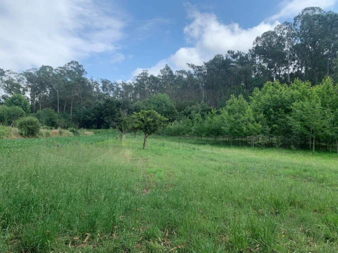 Terreno Agricola ou Rústico para Venda em Eixo e Eirol Foto 29