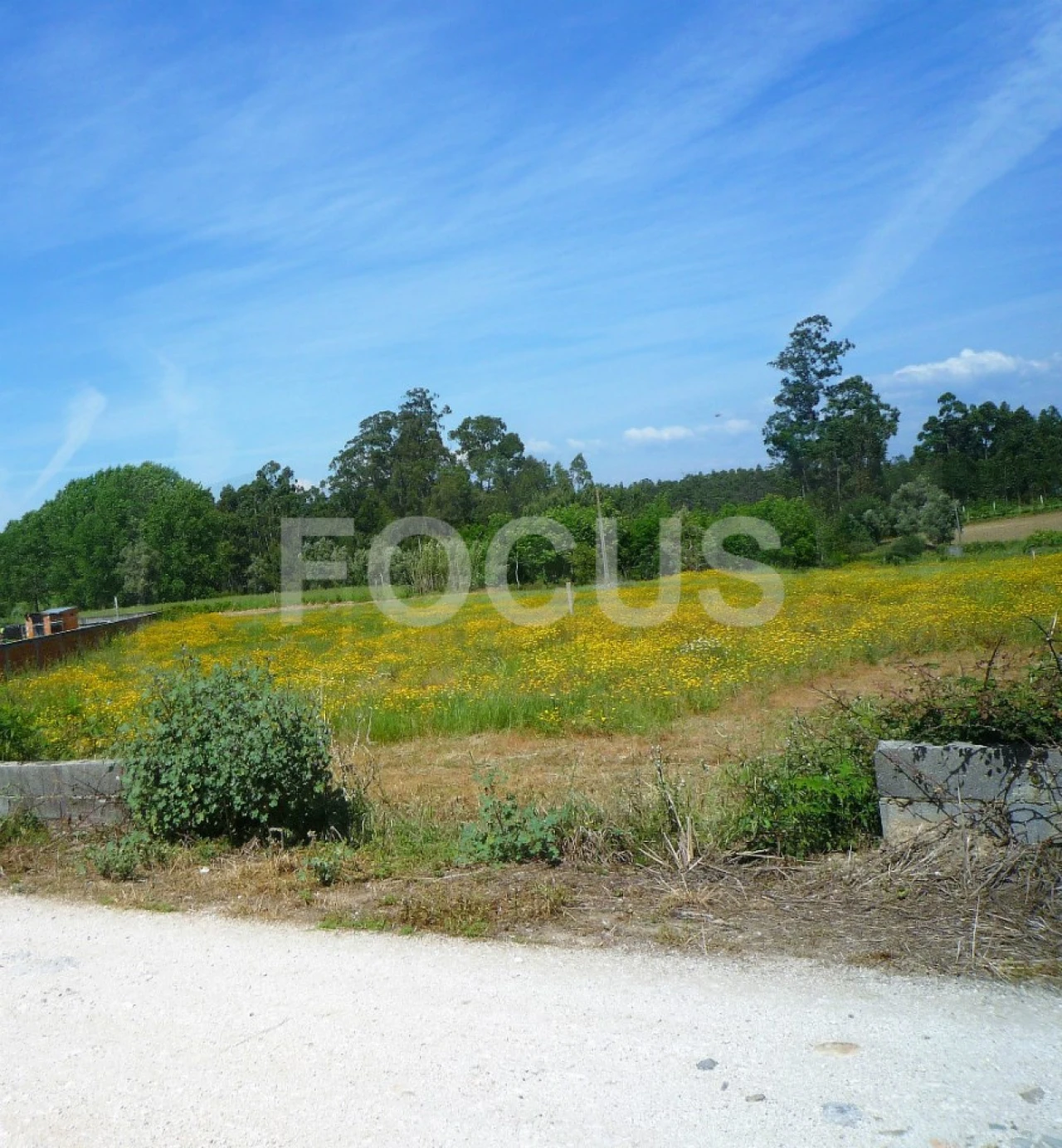 Terreno para Venda em Requeixo, Nossa Senhora de Fátima e Nariz Foto 1