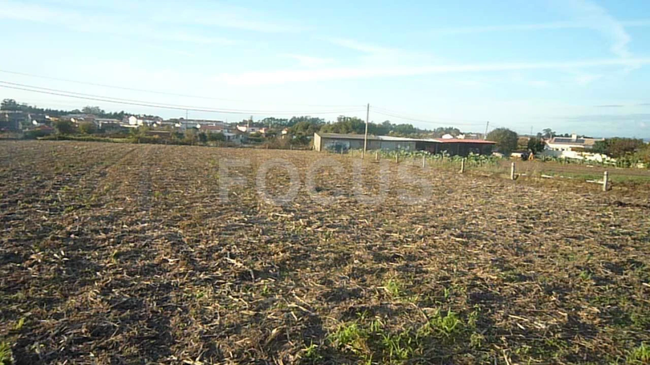 Terreno para Venda em Cacia Foto 3