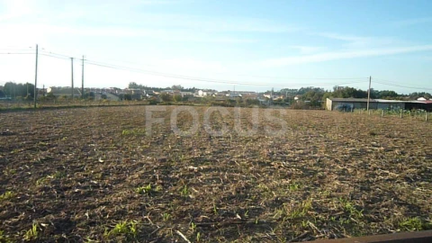 Terreno para Venda em Cacia