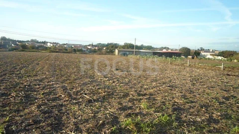 Terreno para Venda em Cacia