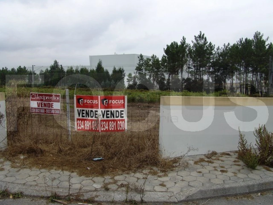 Terreno para Venda em Oiã Foto 1