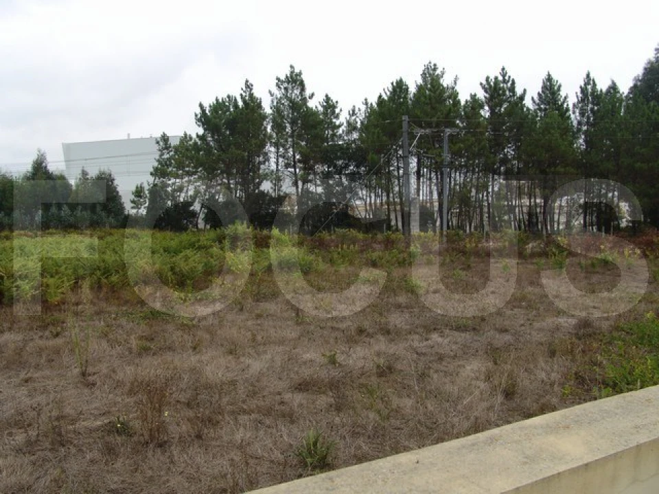 Terreno para Venda em Oiã Foto 3