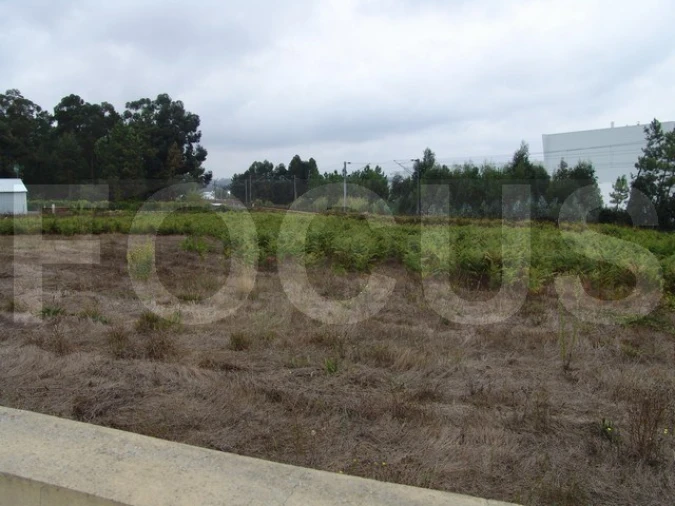 Terreno para Venda em Oiã Foto 2