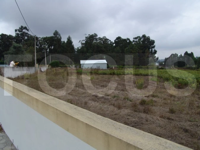 Terreno para Venda em Oiã Foto 4