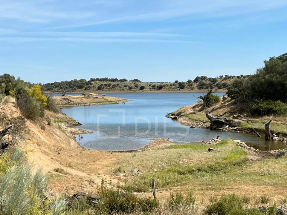 Terreno para Venda em Corval Foto 9