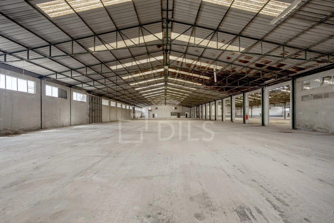 Armazém para Venda em Torres Novas (Santa Maria, Salvador e Santiago) Foto 9