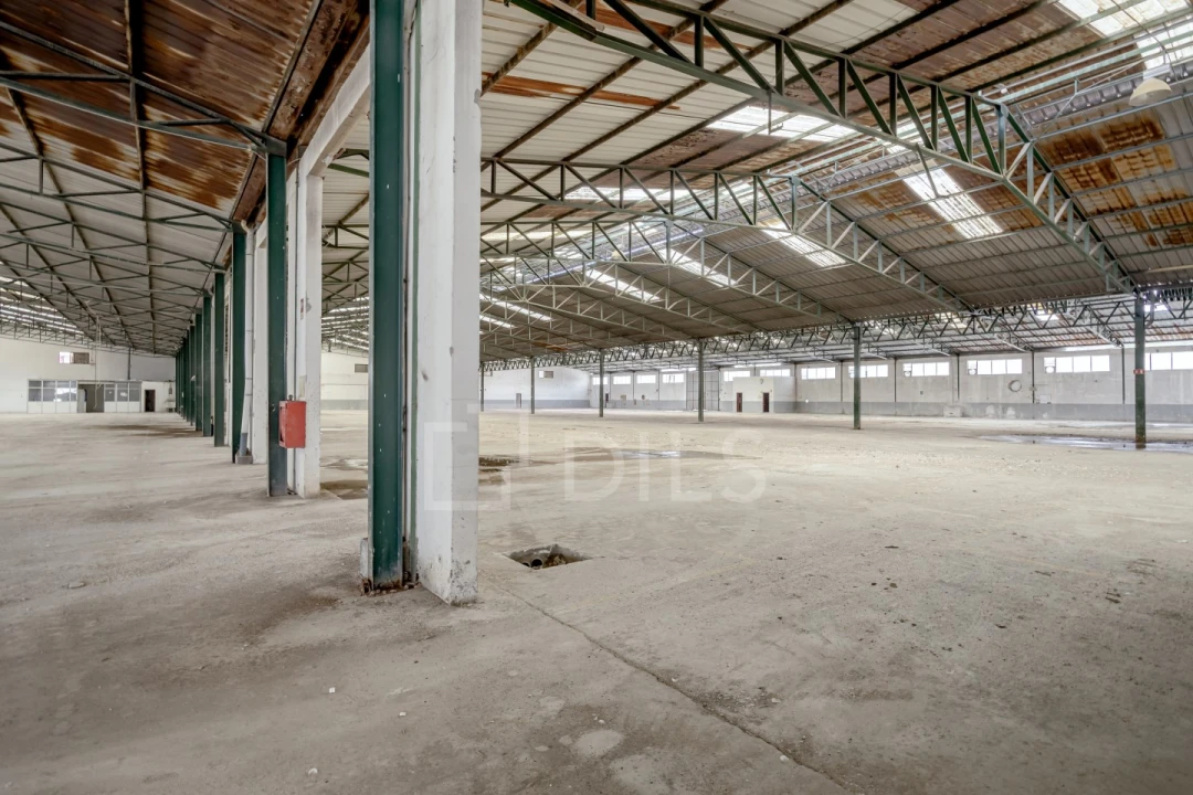 Armazém para Venda em Torres Novas (Santa Maria, Salvador e Santiago) Foto 12