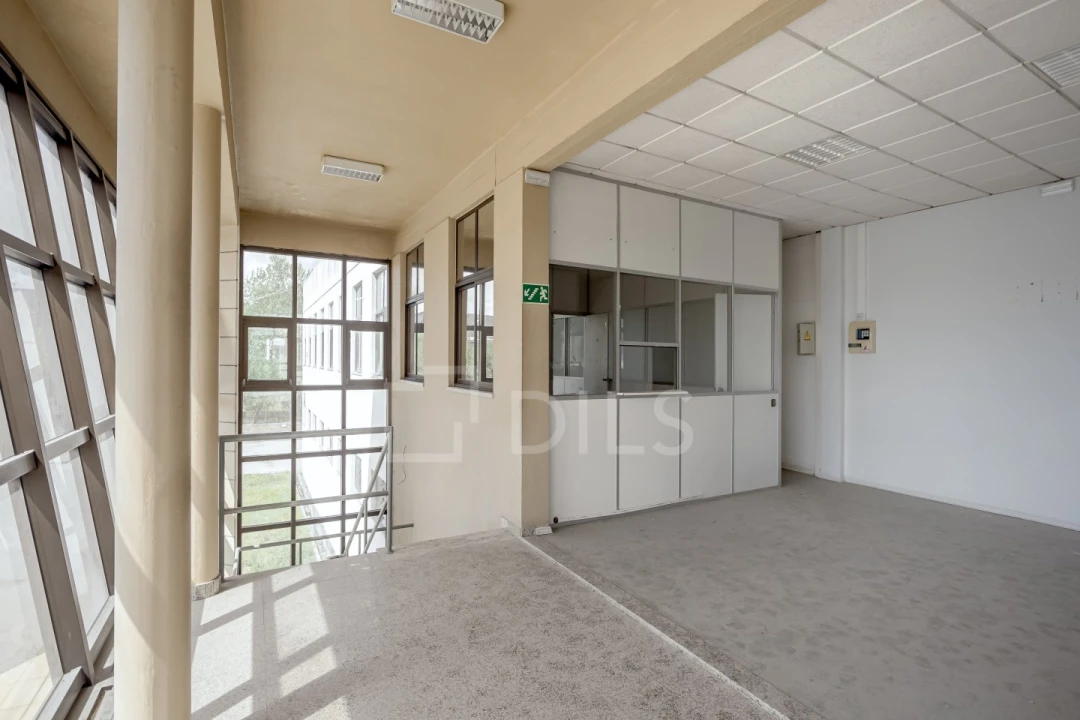 Armazém para Venda em Torres Novas (Santa Maria, Salvador e Santiago) Foto 15