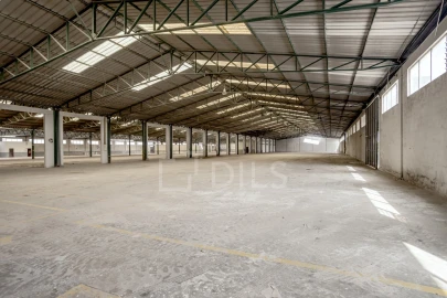 Armazém para Venda em Torres Novas (Santa Maria, Salvador e Santiago)