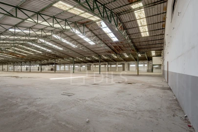 Armazém para Venda em Torres Novas (Santa Maria, Salvador e Santiago)