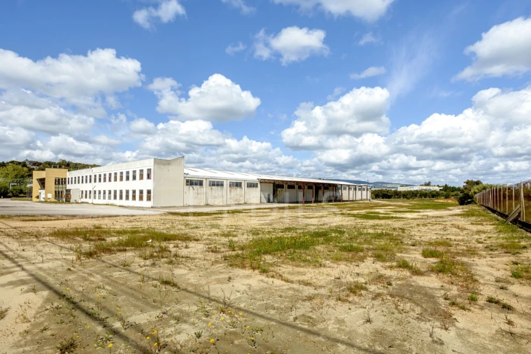 Armazém para Venda em Torres Novas (Santa Maria, Salvador e Santiago) Foto 4