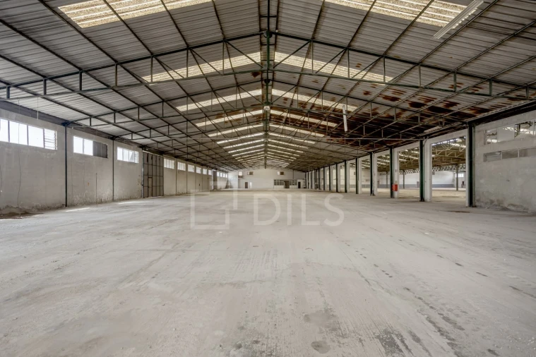 Armazém para Venda em Torres Novas (Santa Maria, Salvador e Santiago) Foto 9