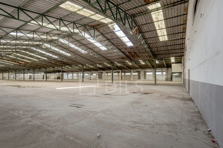 Armazém para Venda em Torres Novas (Santa Maria, Salvador e Santiago) Foto 10