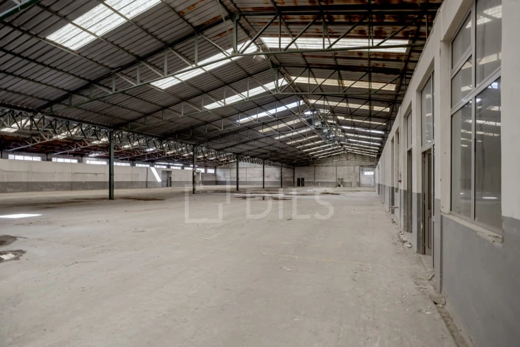 Armazém para Venda em Torres Novas (Santa Maria, Salvador e Santiago) Foto 11