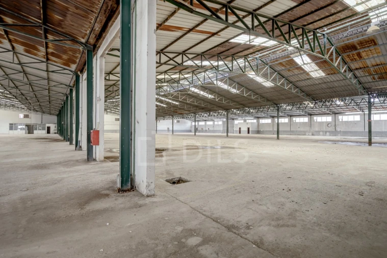 Armazém para Venda em Torres Novas (Santa Maria, Salvador e Santiago) Foto 12