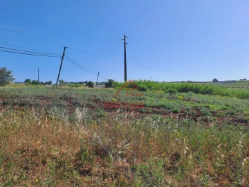 Terreno para Venda em Carvoeira e Carmões