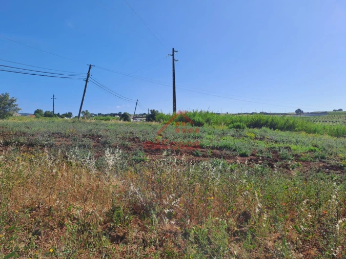 Terreno para Venda em Carvoeira e Carmões Foto 8