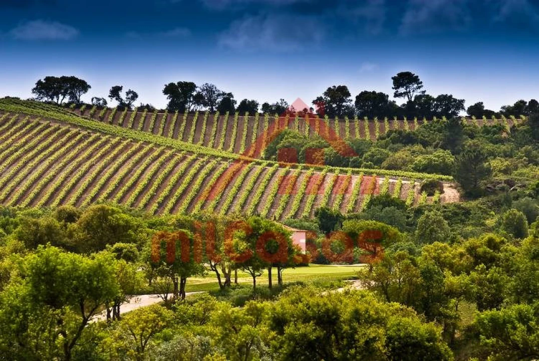 Apartamento T1 para Arrendamento em Turcifal Foto 18