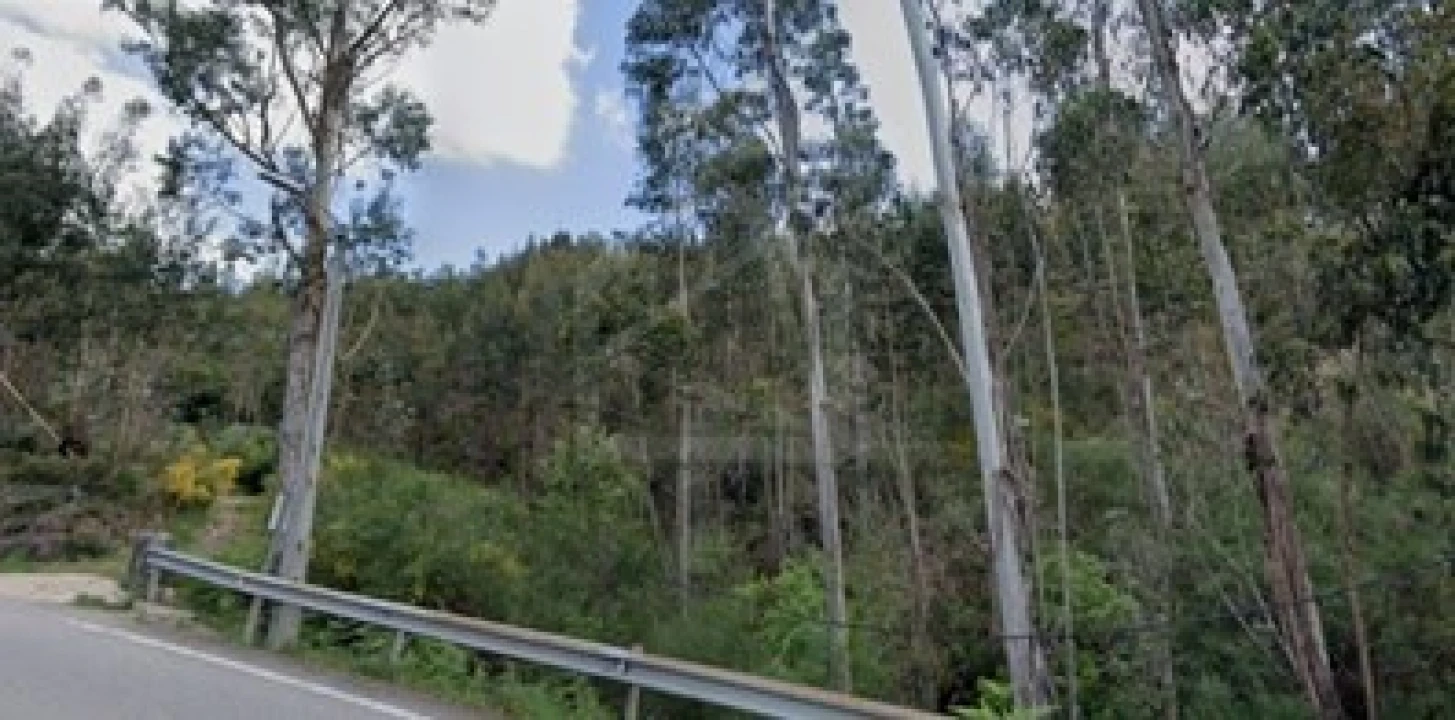 Terreno Agricola ou Rústico para Venda em Lordelo Foto 3